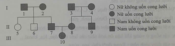 Xác suất đứa con III.10 có kiểu gene dị hợp là bao nhiêu? (ảnh 1)
