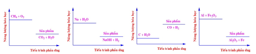 Số phản ứng tỏa nhiệt là  (ảnh 1)