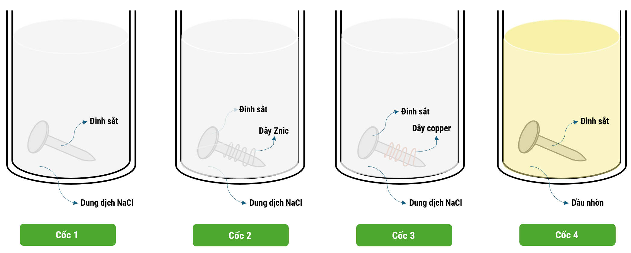 Số phát biểu đúng là (ảnh 1)