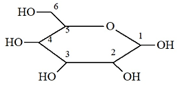 Dạng mạch vòng của glucose có cấu tạo như hình dưới đây. Nhóm -OH hemiacetal ở vị trí của carbon nào?    (ảnh 1)