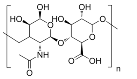 Mỗi mắt xích của hyaluronic acid có bao nhiêu nguyên tử H? (ảnh 1)