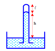 Chọn câu đúng:   (ảnh 1)