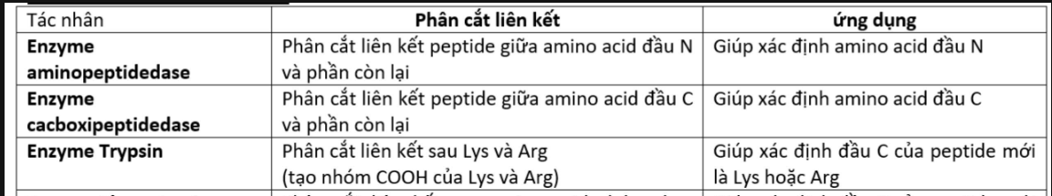 Thủy phân peptide Val-Lys-Ala-Gly-Lys-Gly-Val-Lys-Gly-Lys-Val với xúc tác là enzyme tripsine thì có thể thu được tối đa bao nhiêu tripeptide? (ảnh 1)