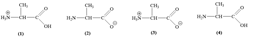 Khi pH = 11 thì alanine sẽ tồn tại dạng nào trong các dạng trên?  (ảnh 1)