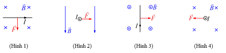 Hình vẽ nào sau đây mô tả đúng về lực từ (ảnh 1)