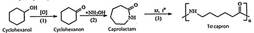 Nếu hiệu suất chuyển hoá từ cyclohexanol đến tơ capron là 82% thì cứ 10 tấn cyclohexanol thu được bao  nhiêu tấn tơ capron (kết quả làm tròn đến hàng phần trăm)? (ảnh 1)