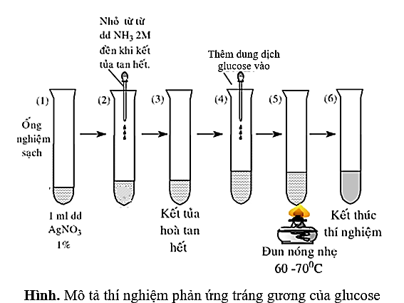 Dựa vào kết quả thí nghiệm, hãy tính khối lượng glucose đã tham gia phản ứng là bao nhiêu gam? (ảnh 1)