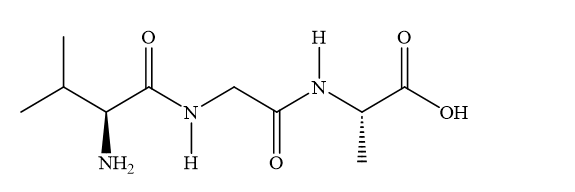 Số phát biểu đúng là (ảnh 1)