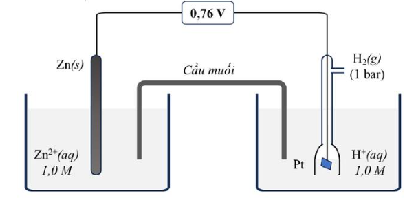 Tên viết tắt của Y là  (ảnh 1)