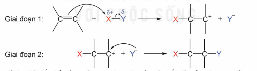 phát biểu nào sau đây không đúng? (ảnh 1)