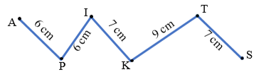 d) Đường gấp khúc APIKTS dài là:   (ảnh 1)