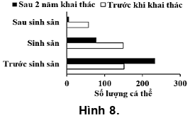 Khi điều tra nhóm tuổi của một quần thể cá sống (ảnh 1)