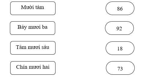 Nối: (ảnh 1)