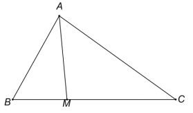 v (ảnh 1)