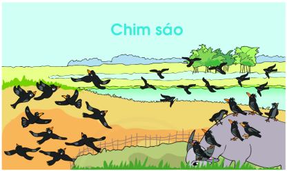 Số? (ảnh 1)