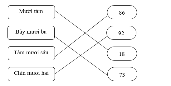 Nối: (ảnh 2)