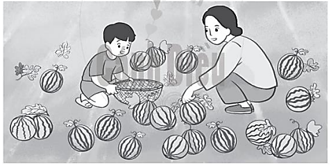 Nếu chia đều vào 5 rổ thì mổi rổ có mấy quả dưa hấu? (ảnh 1)