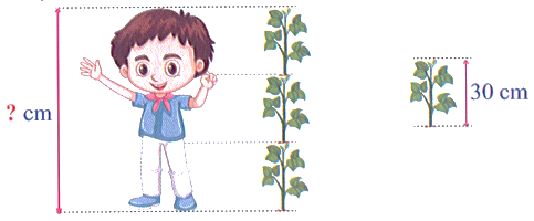 Chiều cao của bạn nam (hình bên) là:   (ảnh 1)