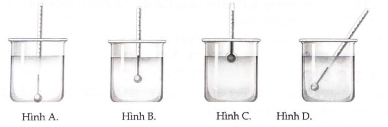 Hình vẽ nào thể hiện sự sắp xếp đúng để đo nhiệt độ chính xác? (ảnh 1)