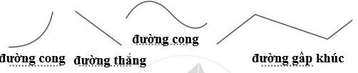 a) Viết tên đường thẳng, đường cong, đường gấp khúc trong hình sau: (ảnh 3)