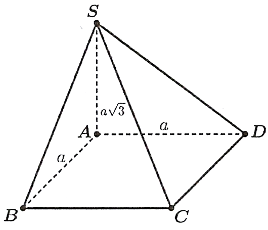 V (ảnh 1)