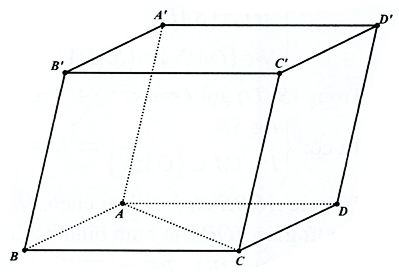 Trong hình hộp ABCD.A'B'C'D' có tất cả các cạnh đều bằng nhau. Khi đó:  a) ABCD là hình chữ nhật. (ảnh 1)