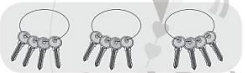 Xem hình rồi nói và viết phép nhân (theo mẫu): (ảnh 2)