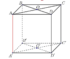Cho hình lập phương ABCD.A'B'C'D'. Xét phép chiếu song song theo phương chiếu AA'.  a) Hình chiếu của C' lên mặt phẳng (ABCD) là C. (ảnh 1)