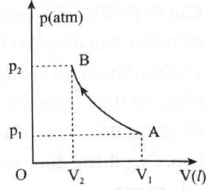 Các phát biểu sau đây đúng hay sai: (ảnh 1)