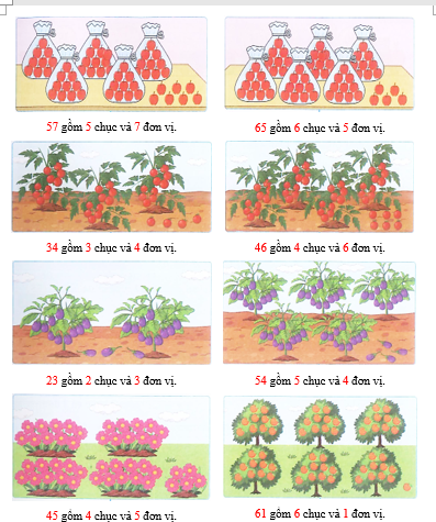 Số? (2 điểm) (ảnh 2)