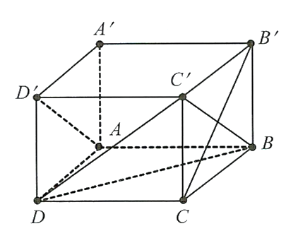 a) BC' // AD'. (ảnh 1)