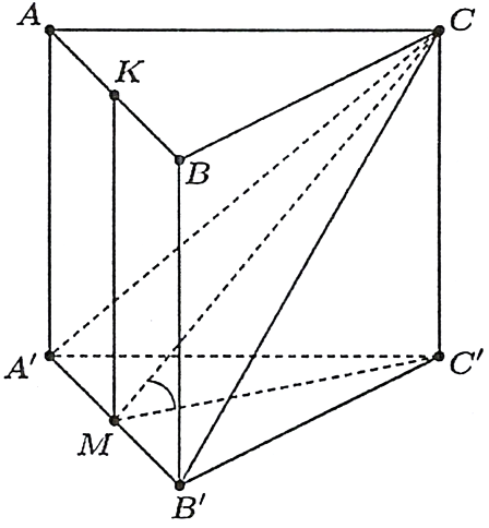 V (ảnh 1)