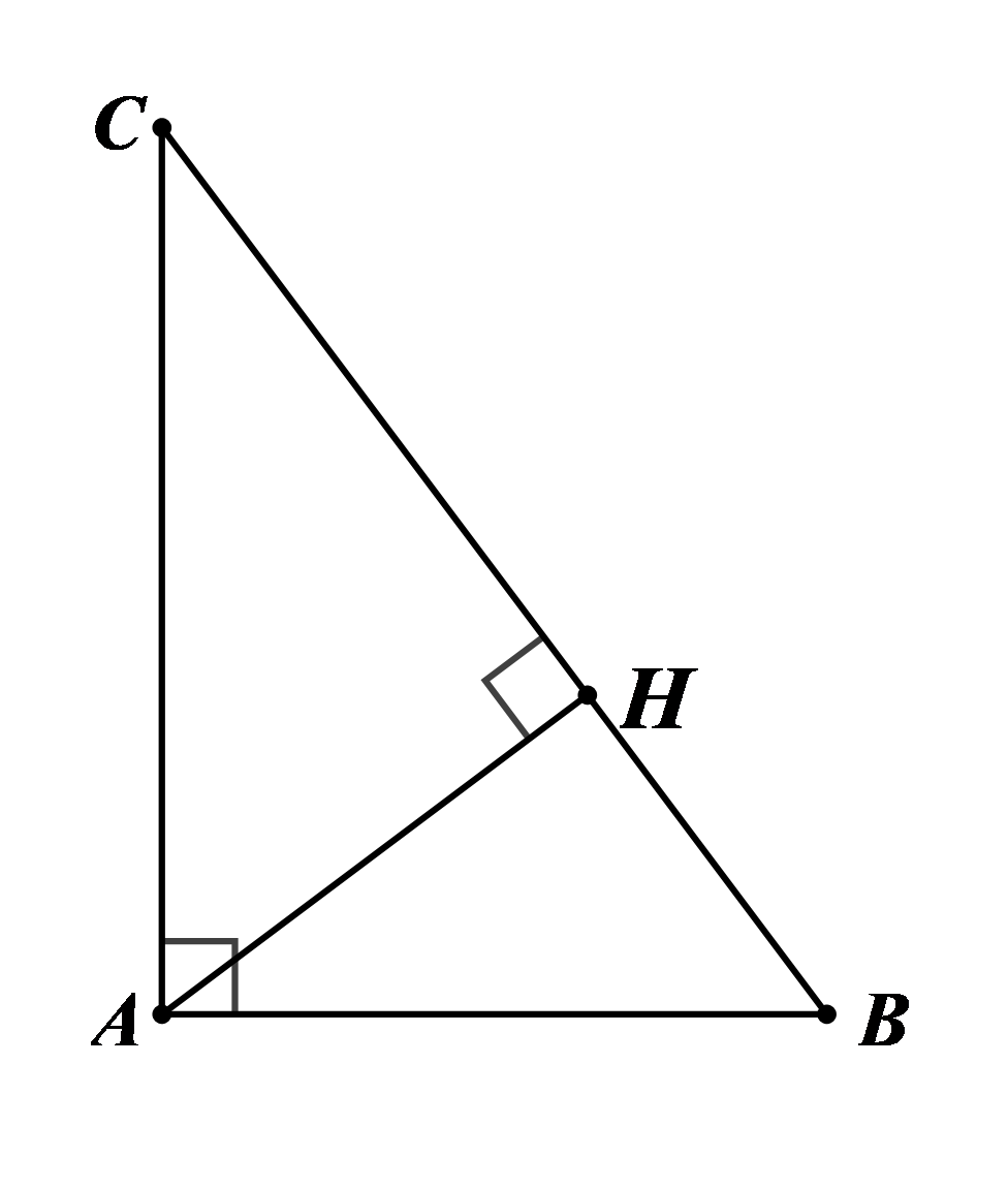 v (ảnh 1)