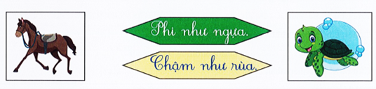 Nối (1 điểm) (ảnh 1)