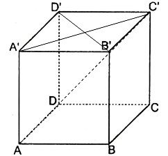 v (ảnh 1)