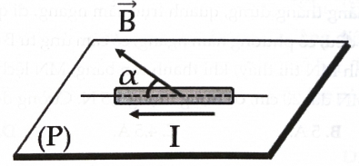 Phát biểu nào là đúng, phát biểu nào là sai? (ảnh 1)