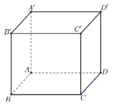 Góc giữa hai đường thẳng A'C' và BD bằng bao nhiêu độ? (ảnh 1)