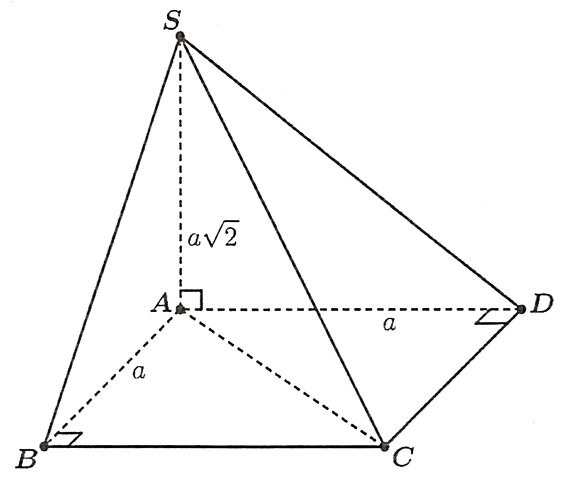V (ảnh 1)