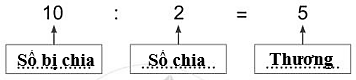 Viết từ 
