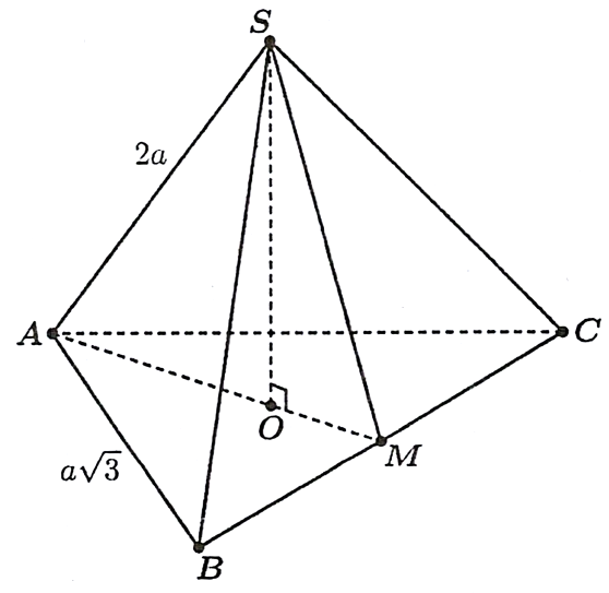 v (ảnh 1)
