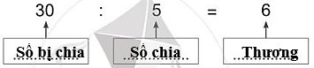 Viết từ 