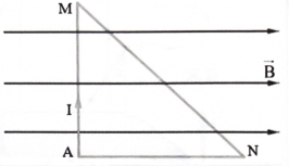 Lực từ tác dụng lên cạnh MN có đặc điểm như thế nào? (ảnh 1)