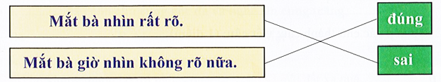 Nối: (ảnh 2)
