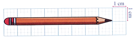 Độ dài của chiếc bút chì (như hình bên) là:    (ảnh 1)