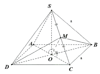 v (ảnh 1)