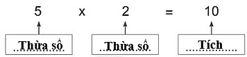 Viết từ 