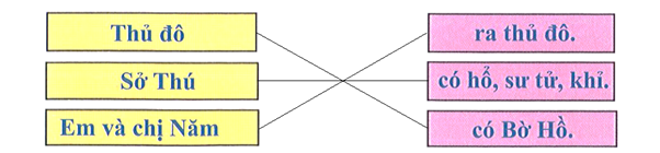 Nối: (ảnh 2)