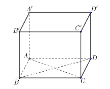 Cho hình hộp ABCD.A'B'C'D' có các mặt là hình thoi. Phát biểu nào sau đây là đúng? 	 (ảnh 1)