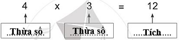 Viết từ 