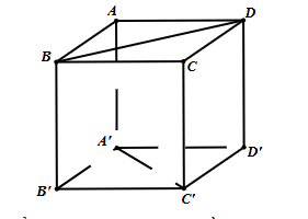  Khoảng cách giữa hai đường thẳng BD và A'C' bằng   (ảnh 1)